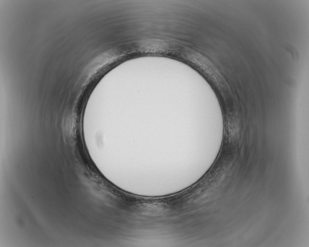 X0000114600583200911091319