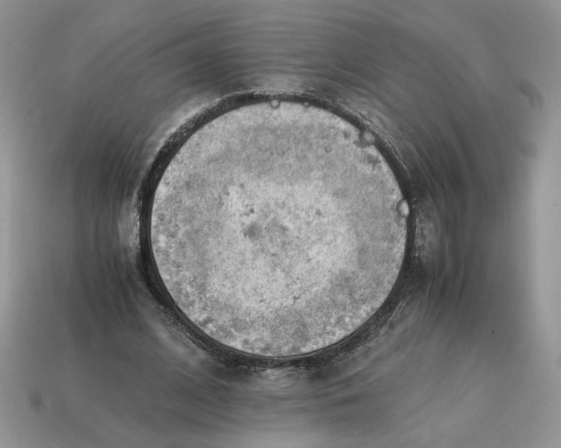 X0000114600584200911091319