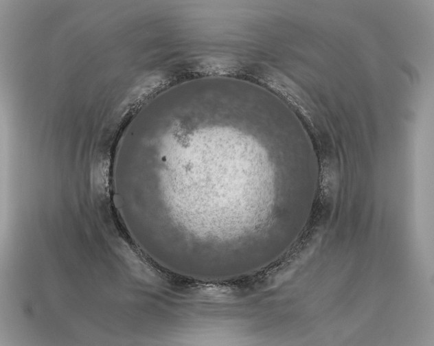 X0000114600585200911091319