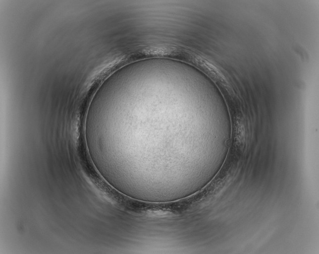 X0000114600586200911091319