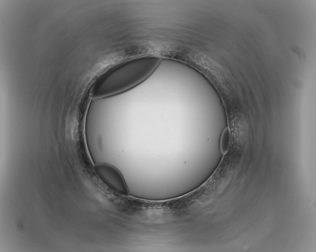 X0000114600587200911091319