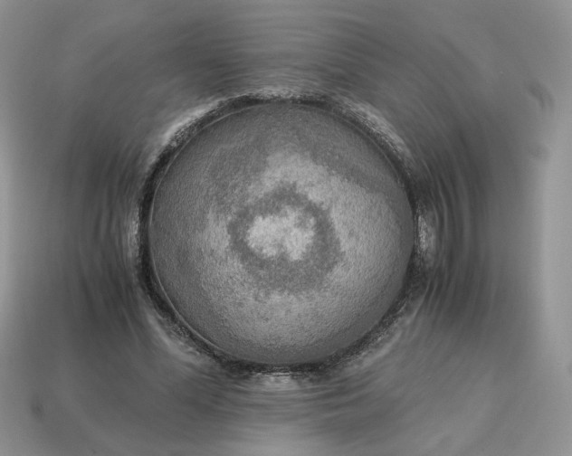 X0000114600588200911091319