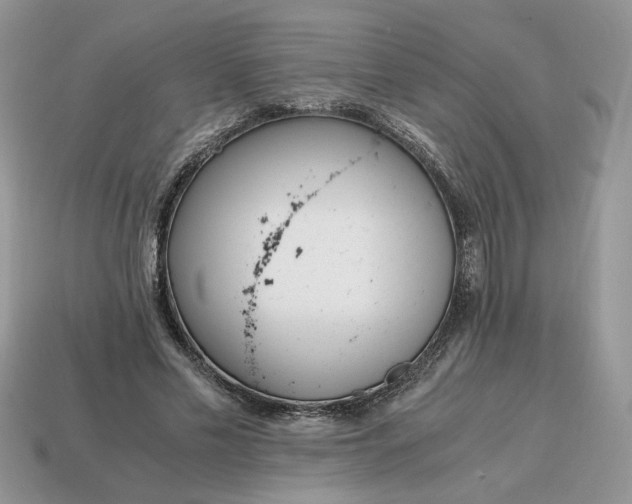 X0000114600589200911091319