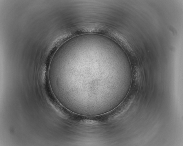 X0000114600590200911091319