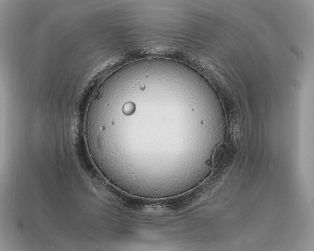 X0000114600591200911091319