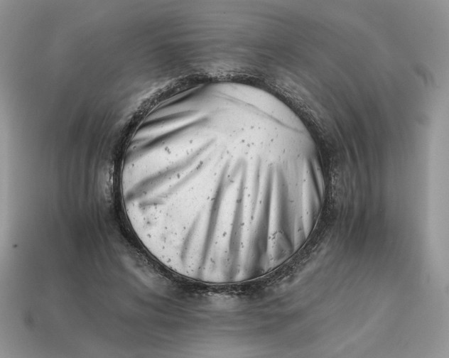 X0000114600592200911091319