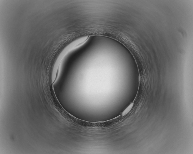 X0000114600593200911091319