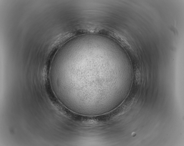 X0000114600594200911091319