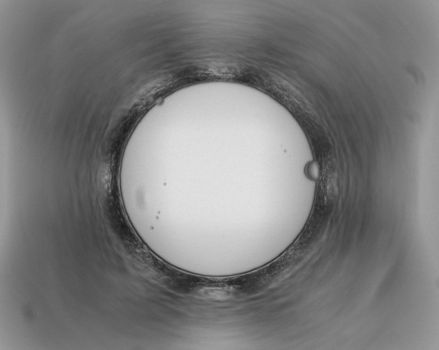 X0000114600595200911091319