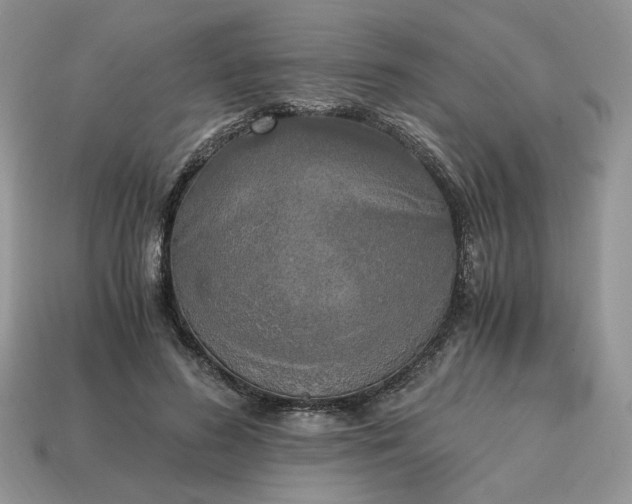 X0000114600596200911091319