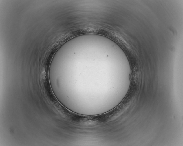 X0000114600597200911091319