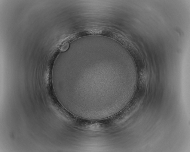 X0000114600600200911091319