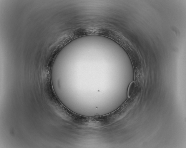 X0000114600601200911091319