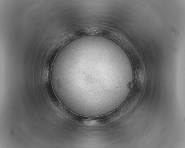 X0000114600602200911091319