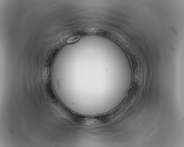 X0000114600605200911091319