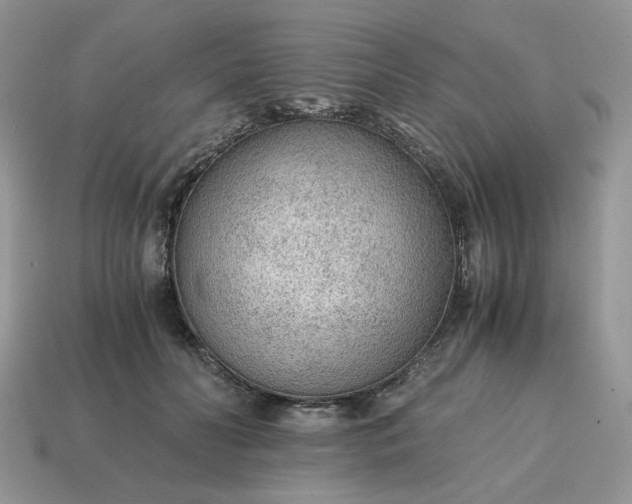 X0000114600606200911091319