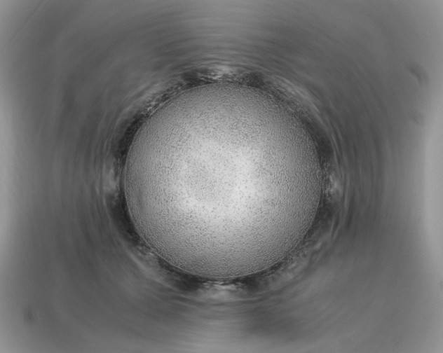 X0000114600607200911091319