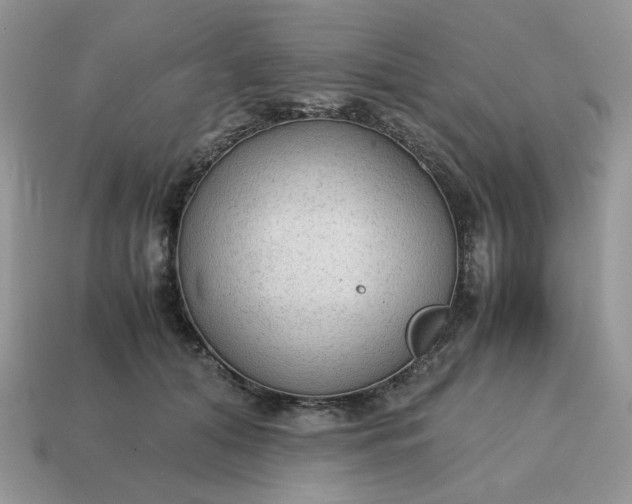 X0000114600608200911091318