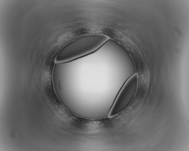 X0000114600609200911091318