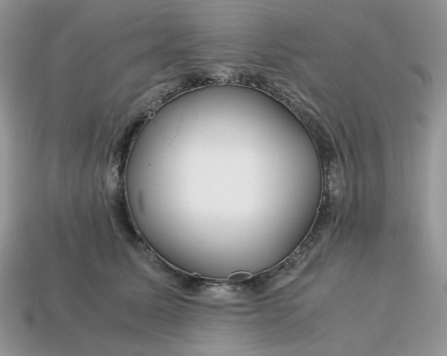 X0000114600611200911091318