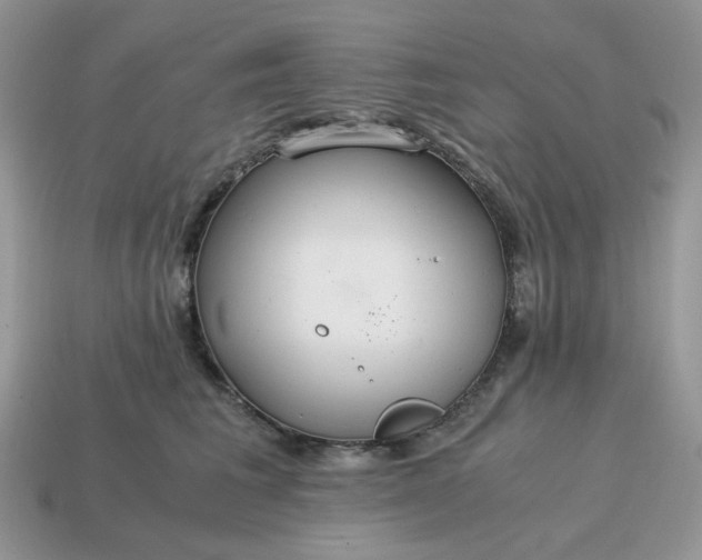 X0000114600613200911091318