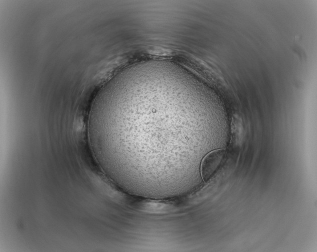 X0000114600614200911091318