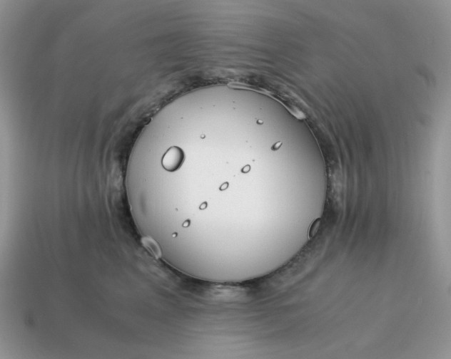 X0000114600617200911091318