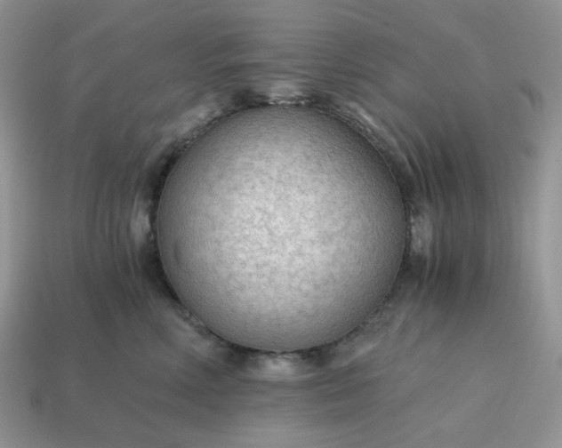 X0000114600618200911091318