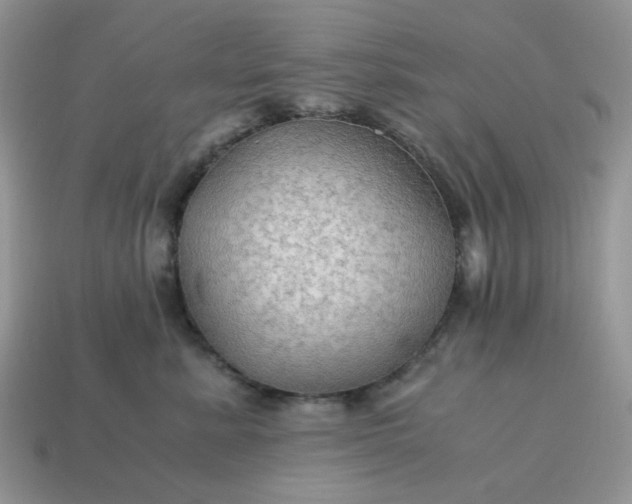 X0000114600619200911091318