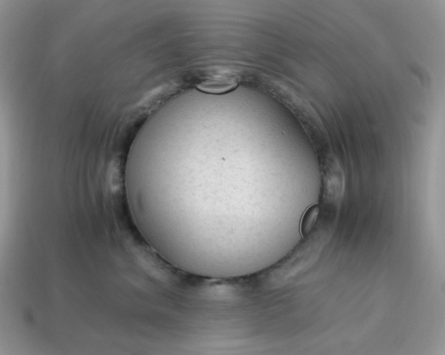 X0000114600620200911091318