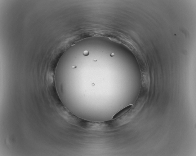 X0000114600621200911091318