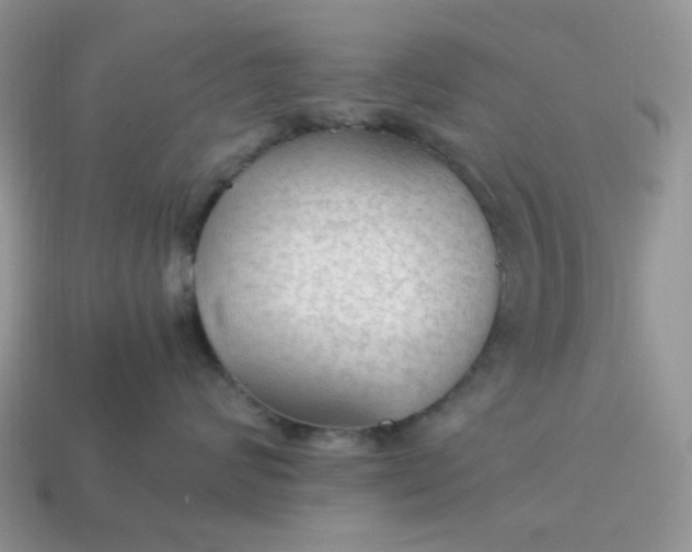 X0000114600624200911091318