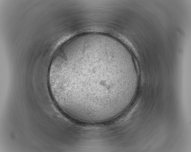 X0000114600625200911091318