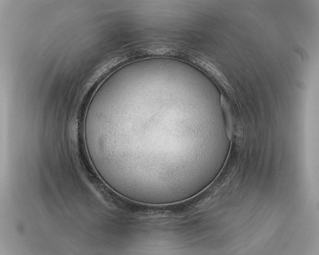 X0000114600626200911091318