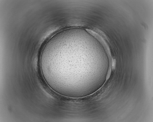 X0000114600627200911091318