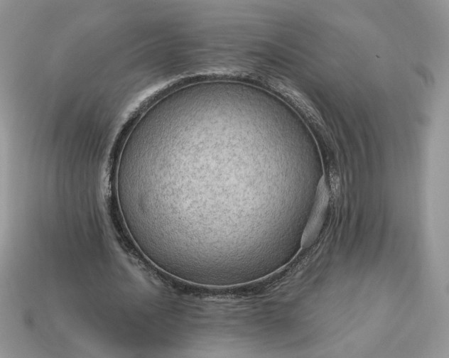 X0000114600628200911091318