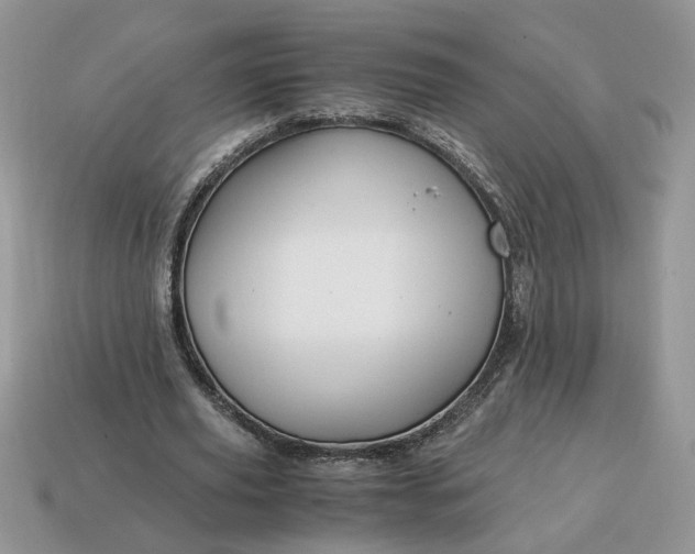 X0000114600629200911091318