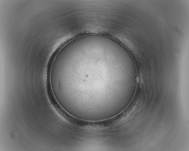 X0000114600630200911091318