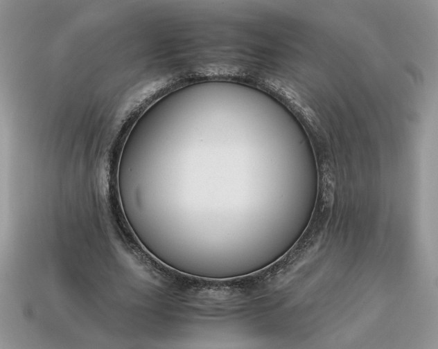 X0000114600631200911091318