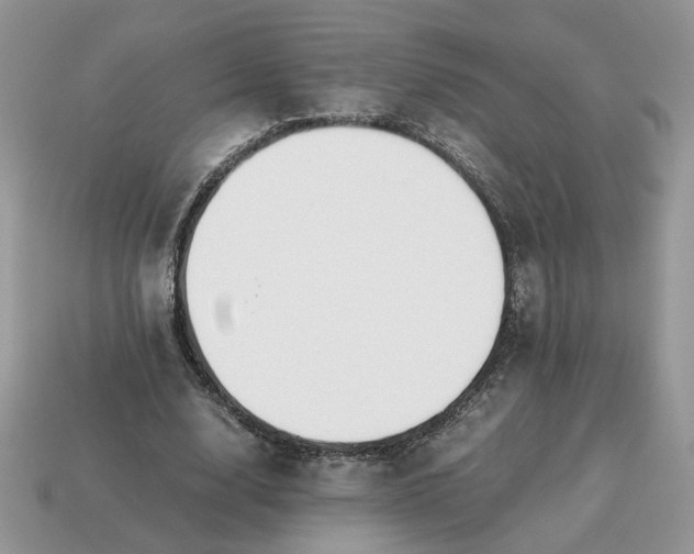 X0000114600632200911091318