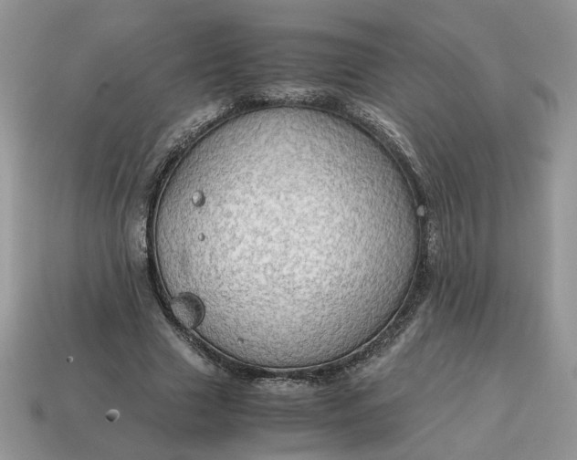 X0000114600633200911091318