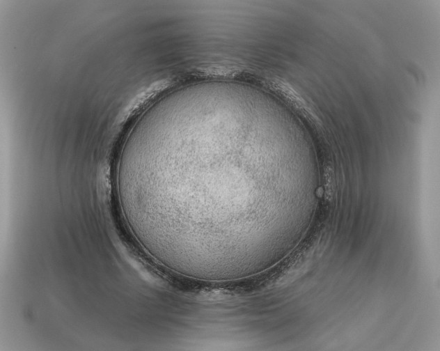 X0000114600634200911091318