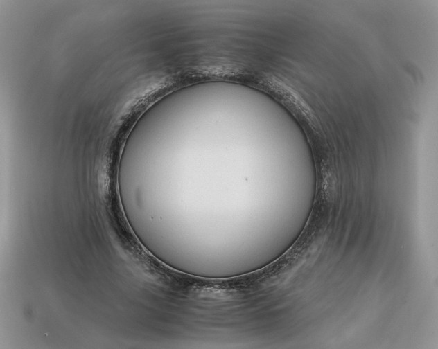 X0000114600635200911091318