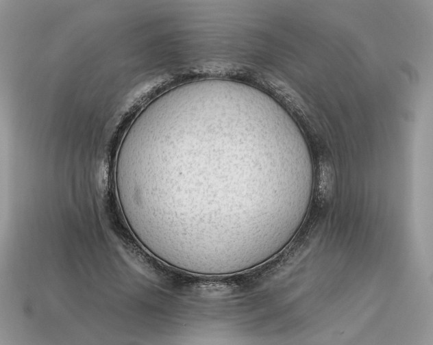 X0000114600636200911091318