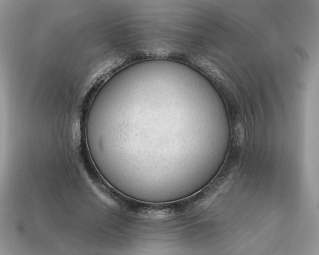 X0000114600638200911091318