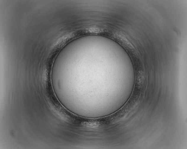 X0000114600639200911091318