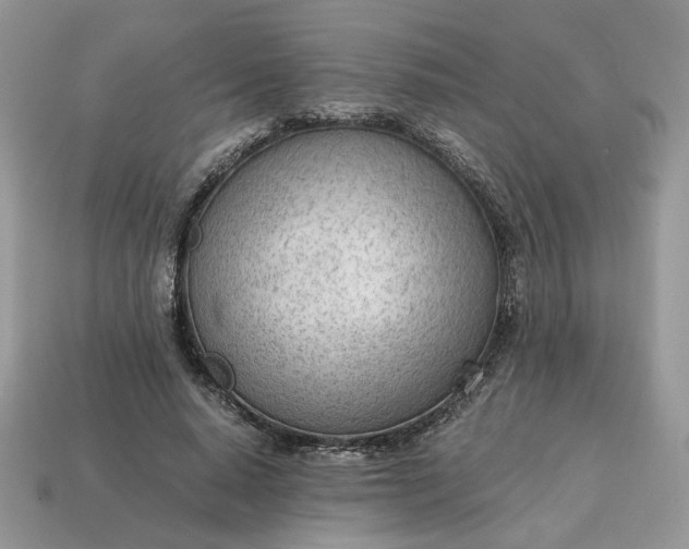 X0000114600640200911091318