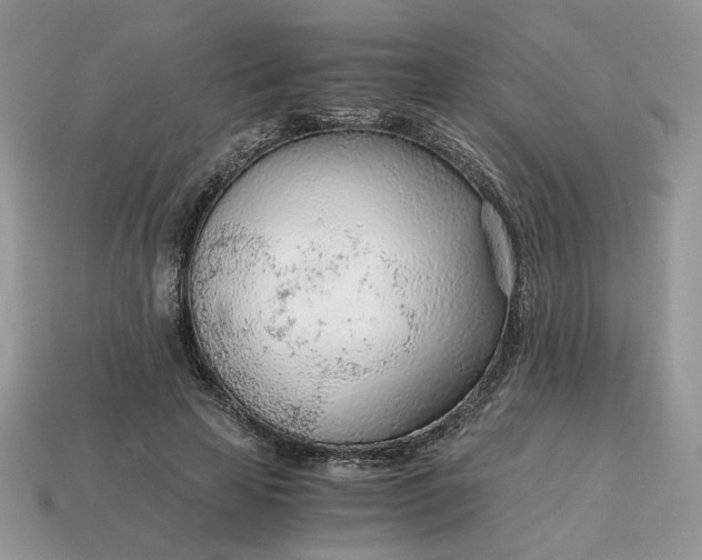 X0000114600641200911091318