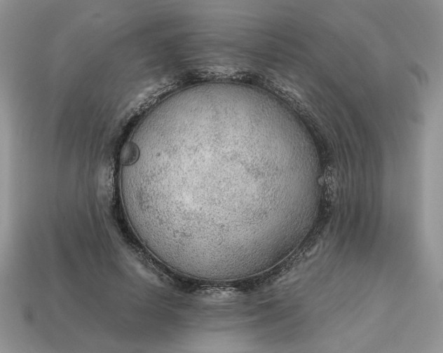 X0000114600642200911091318