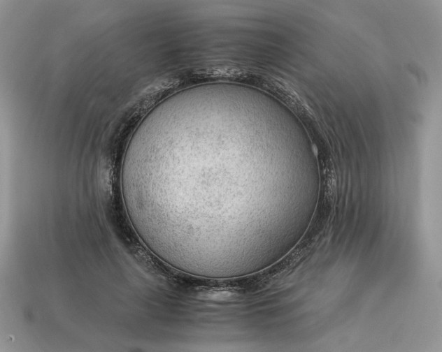 X0000114600643200911091318